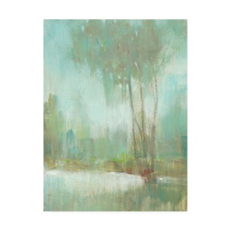 Tim OToole 'Mist In The Glen II' Canvas Art,18x24